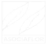 logo-asociafruit-pie
